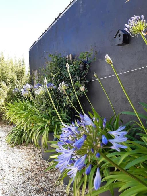 Logement 80 M2 Avec Terrasses Entre Les Deux Abers Landéda Esterno foto